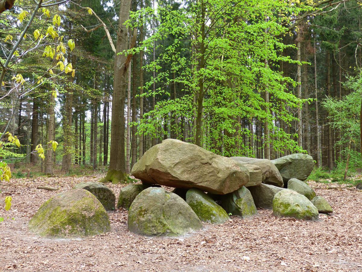 Herberg De Eexter Os Exteriör bild