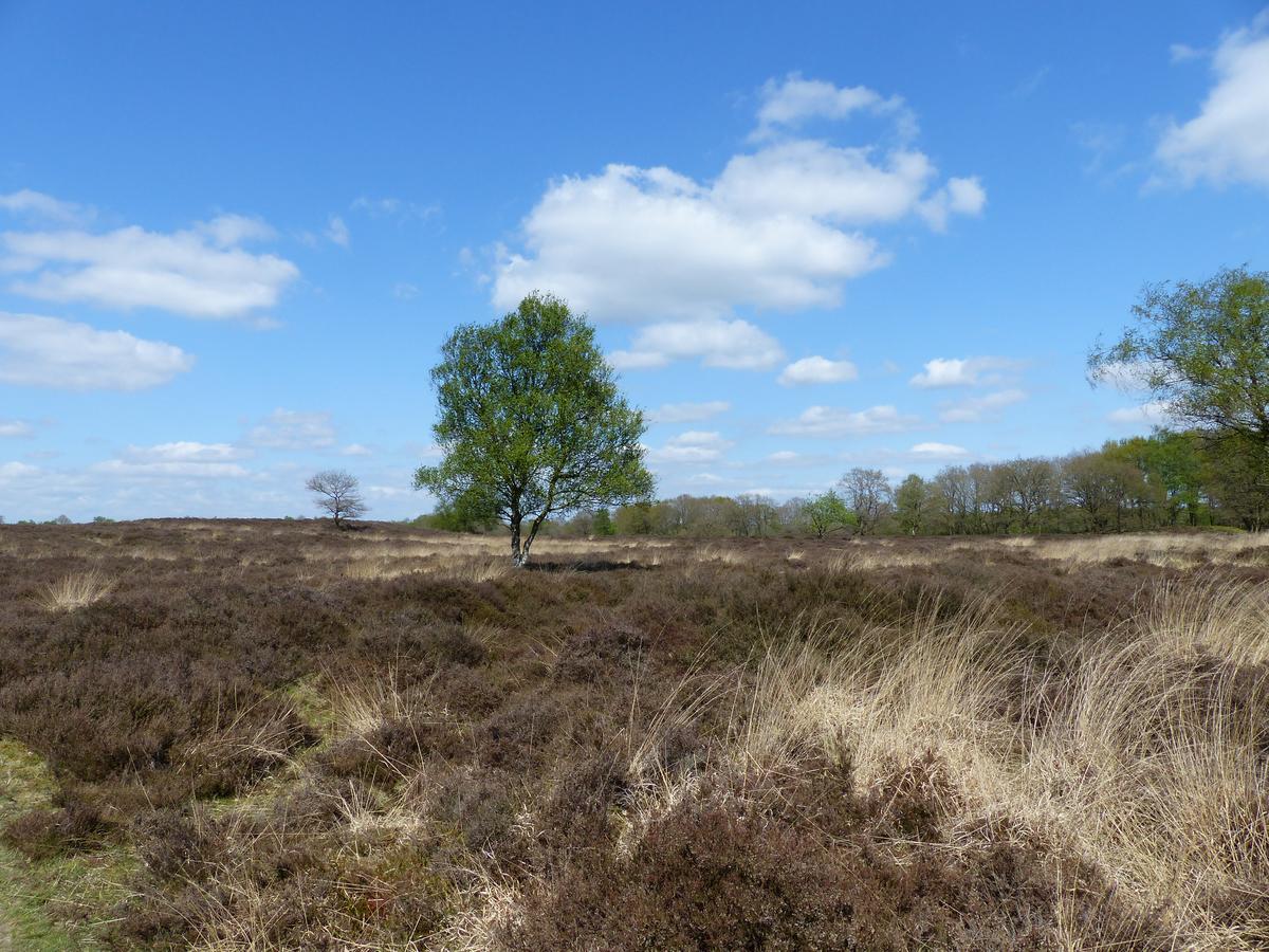 Herberg De Eexter Os Exteriör bild